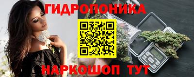 прущие грибы Рязань