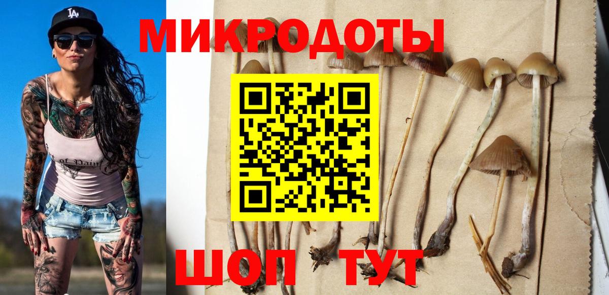 Галлюциногенные грибы прущие грибы Октябрьский
