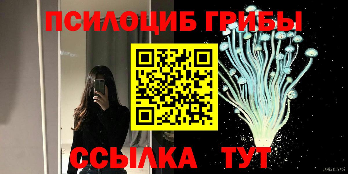 купить наркотик  Псилоцибиновые грибы Magic Shrooms  Вход с VPN  Октябрьский 